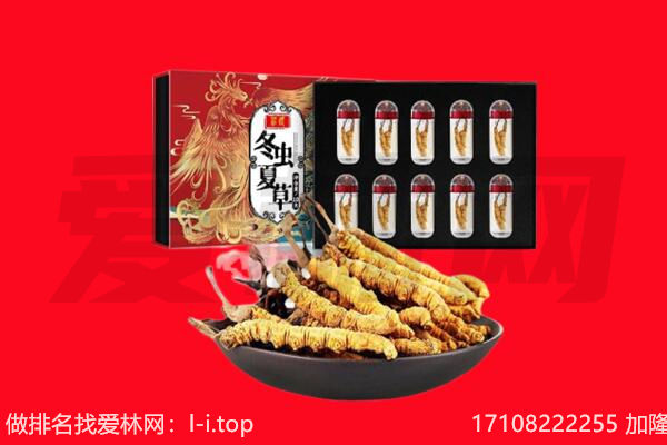 赣县区回收虫草.jpg